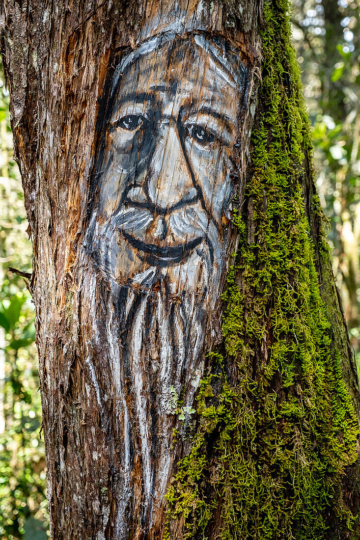 Mohan god, protector of the rivers and thief of women, myths and legends trail, Arví Park, Medellin, Colombia