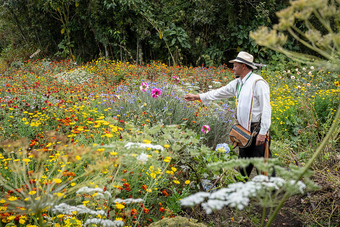 Joaquín Emilio Zapata, Silletero, flower farmer, Finca, silletera, farm, Vereda Barro Blanco, Sector El Rosario, Medellín, Colombia