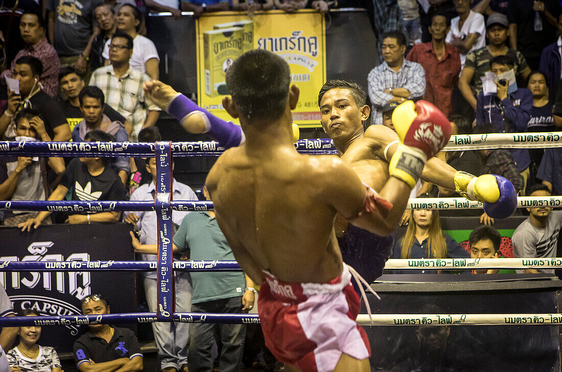 Muay-Thai-Boxer beim Kampf, Bangkok, Thailand