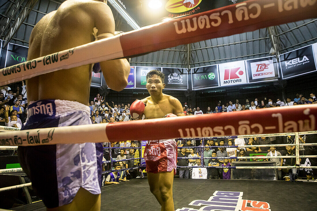 Muay Thai Boxer kämpfen, Bangkok, Thailand