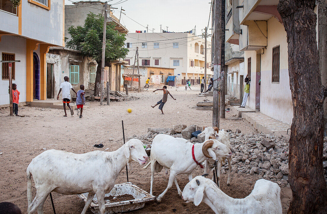 Street scene, medina quarter, Dakar, Senegal