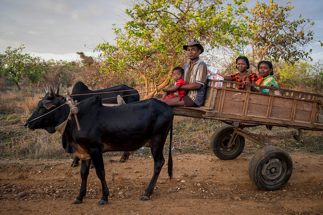 Portrait of malagasy farmer family, surroundings of Manja village, Madagascar