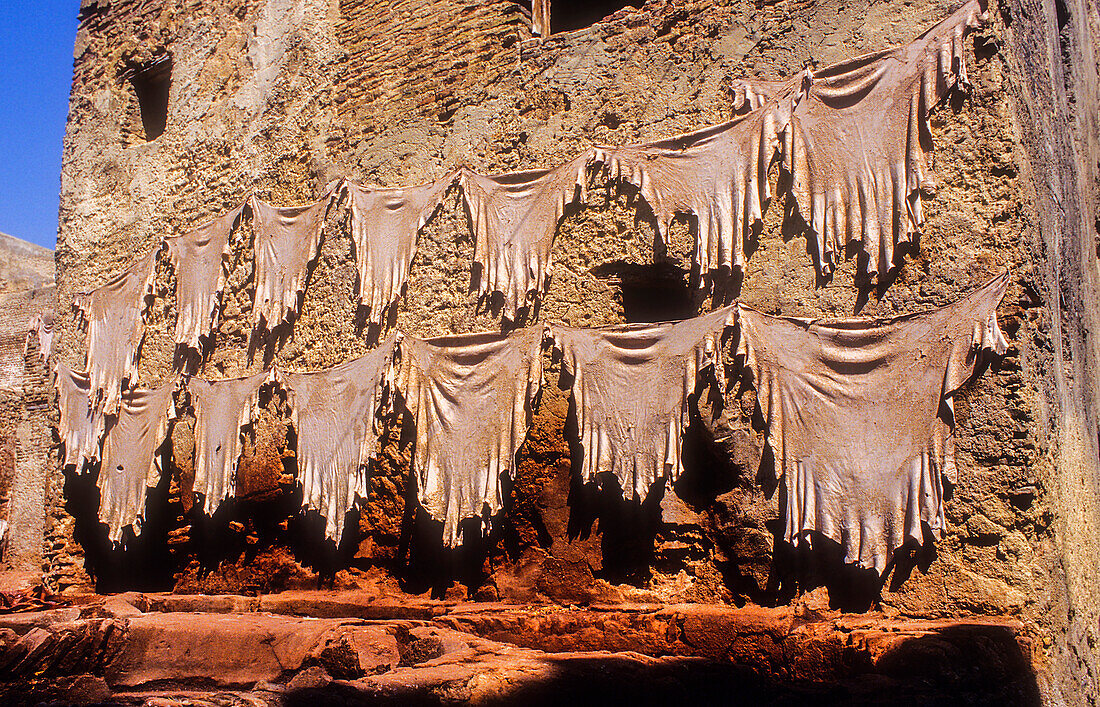 Aufgehängte Häute zum Trocknen in der Sonne, Gerberei, Medina, UNESCO-Weltkulturerbe, Fez, Marokko, Afrika.