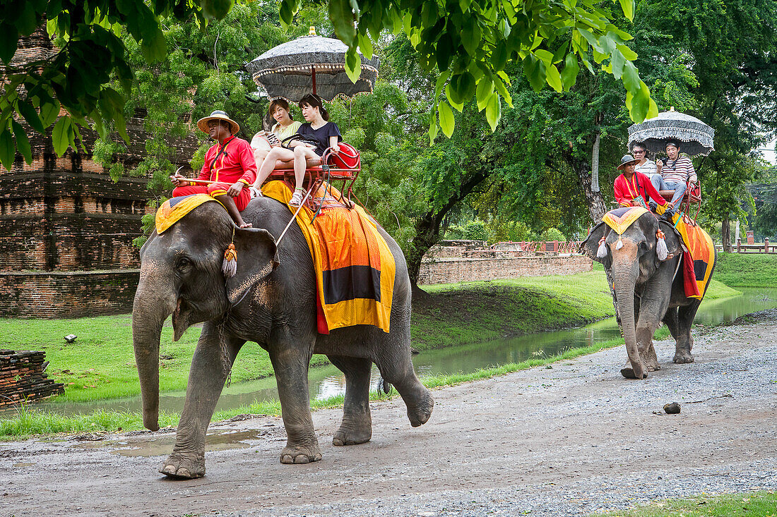 Elefantenritt, Ayuthaya, Thailand