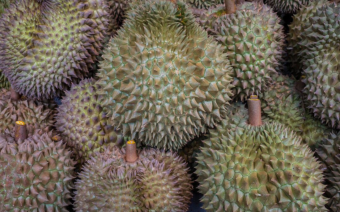 Durian-Früchte, auf dem Straßenmarkt in Itsara Nuphap, Chinatown, Bangkok, Thailand