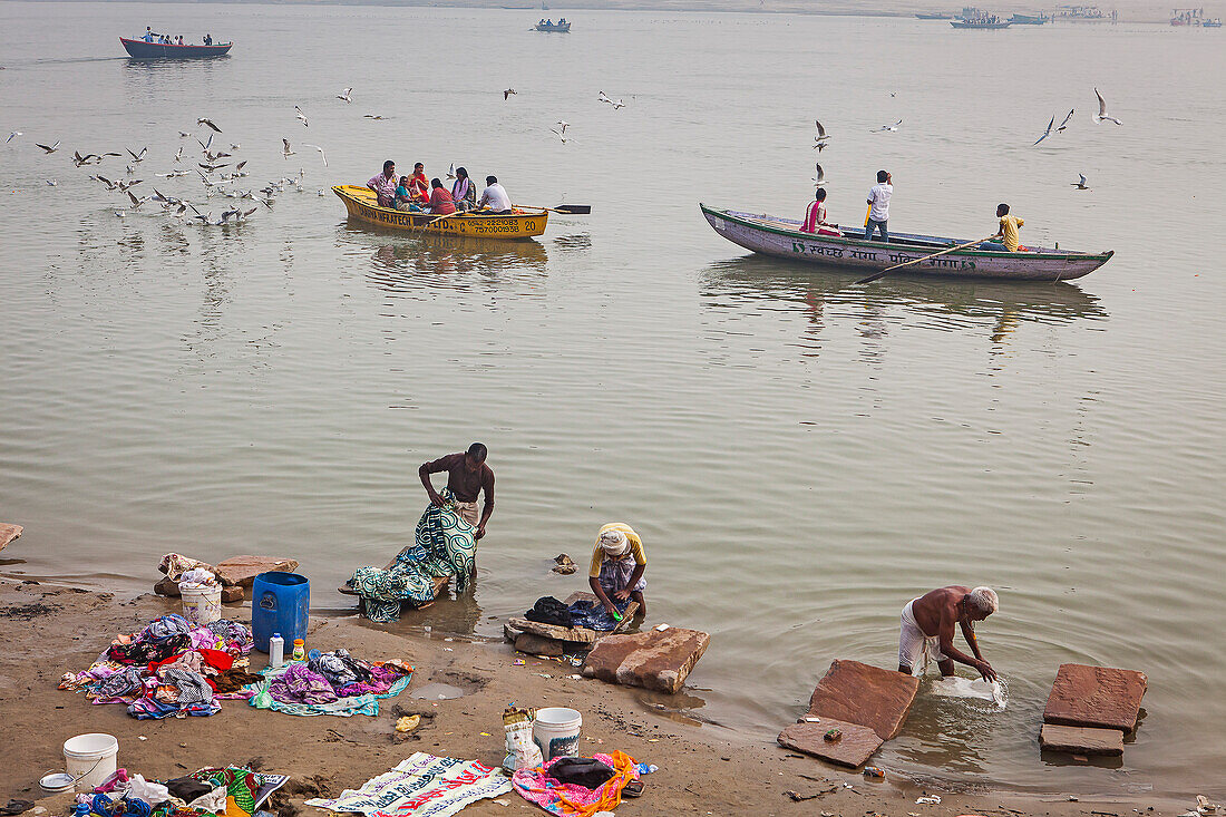 workers washing clothes and in background pilgrims feeding seagulls, Ganges river, Varanasi, Uttar Pradesh, India.
