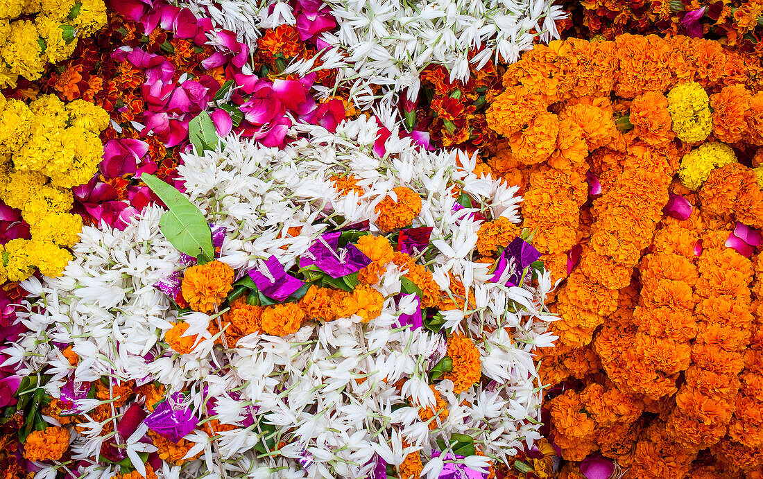 Der Blumenmarkt,Varanasi, Uttar Pradesh, Indien