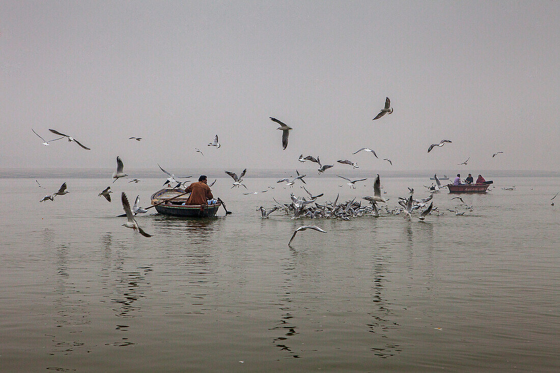 Fischer, im Ganges-Fluss, Varanasi, Uttar Pradesh, Indien.