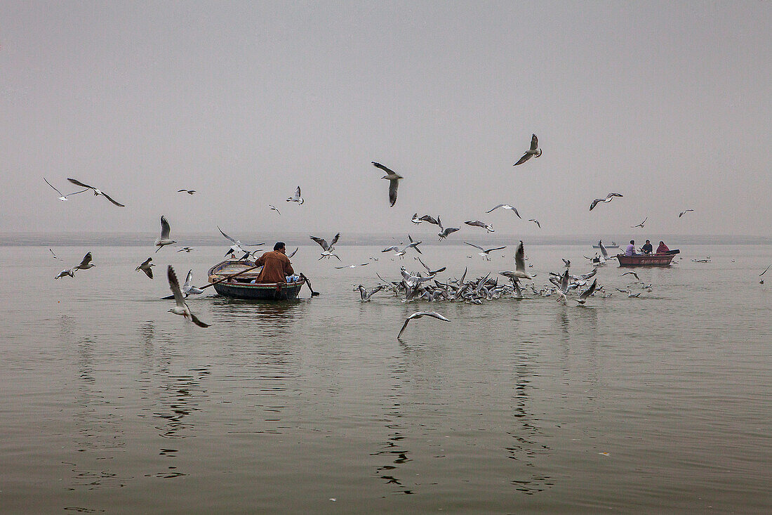 Fishermen, in Ganges river, Varanasi, Uttar Pradesh, India.