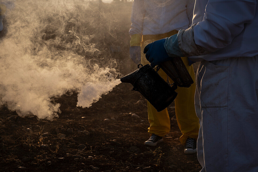 beekeeping , apiculture, Carmona, Andalucia, Spain