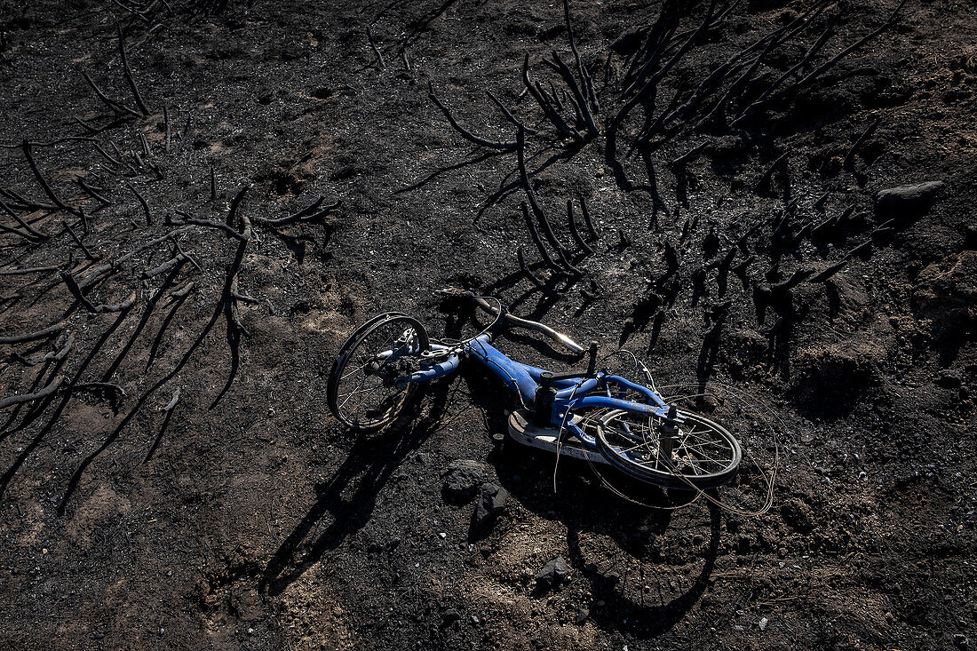 Consequences of a forest fire in Navalacruz or Navalcruz forest, Navalacruz or Navalcruz, Avila, spain