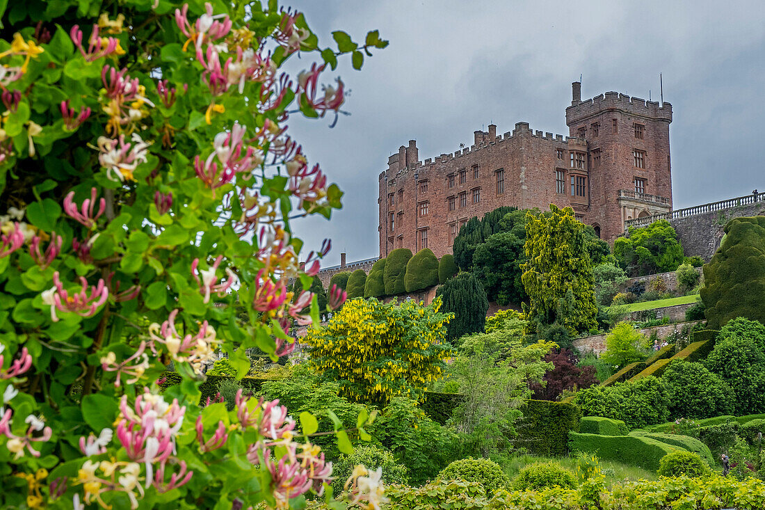Schloss Powis von seinem Garten aus, Wales