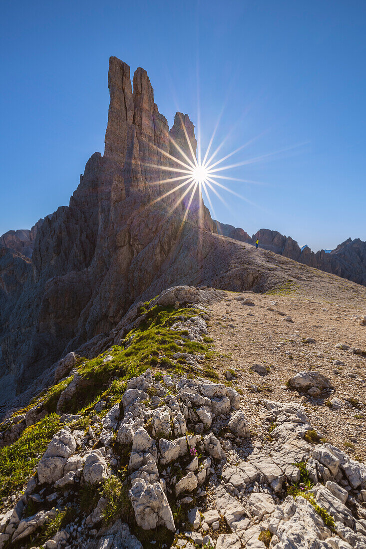 A man observes Vajolet Towers during summer at sunrise, Gruppo del Catinaccio, Dolomiti di Gardena, Bolzano, Tires, Trentino Alto Adige, Italy, Southern Europe