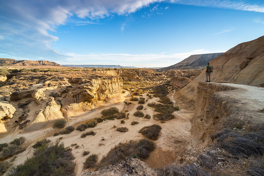 A man observes a gorge at sunrise, Bardenas Reales, Ebro Valley, Biosphere Reserve, Navarra, Spain, Western Europe