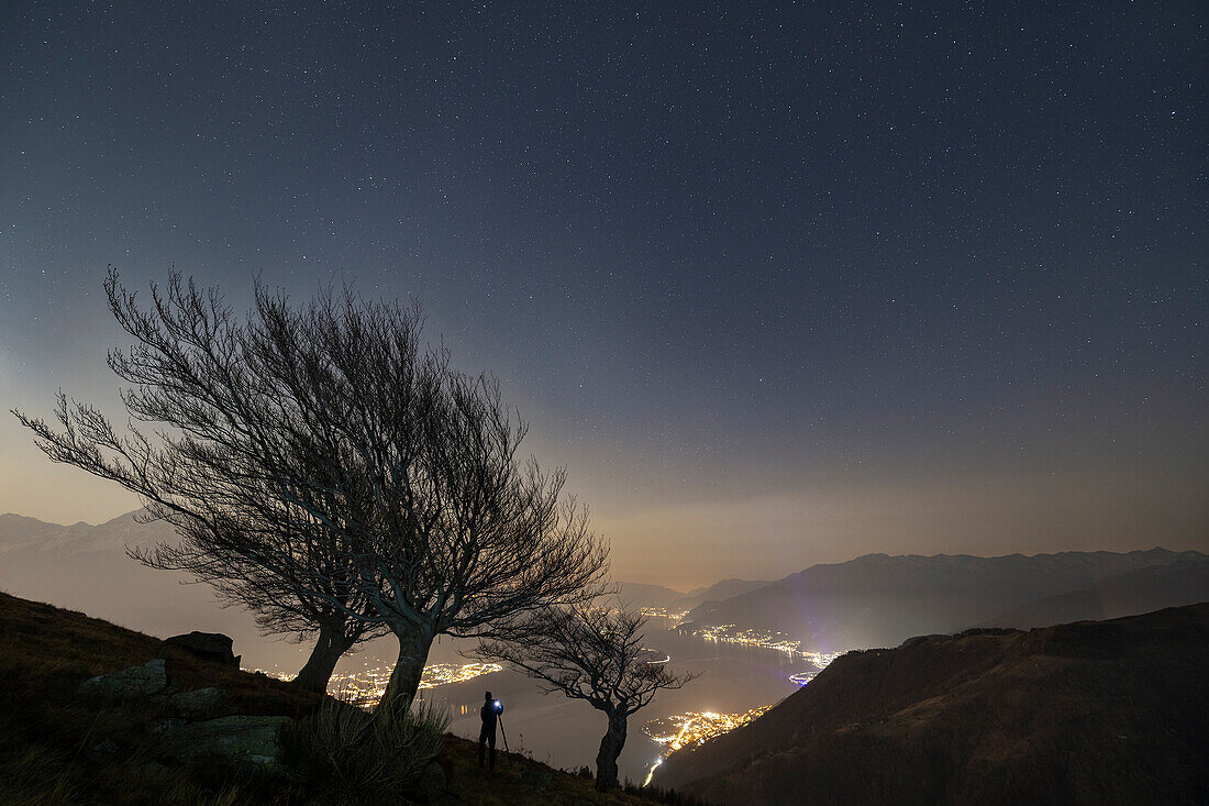 Ein Fotograf während der Nacht in Montemezzo mit alten Bäumen und beleuchtetem Comer See, Alto Lario, Montemezzo, Como, Lombardei, Italien, Südeuropa