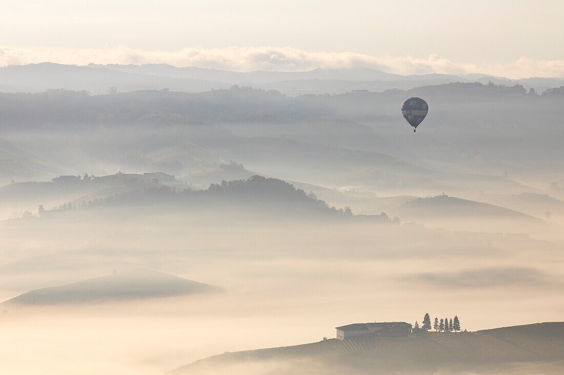 Weinberge um La Morra im Herbst bei Sonnenaufgang und ein Ballon, Cuneo, Langhe e Roero, Piemont, Italien, Südeuropa