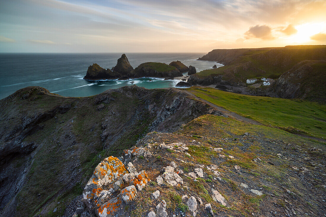 Kynance cove bay with its stacks at sunset, Lizard Peninsula, Cornwall, United Kingdom, Northern Europe