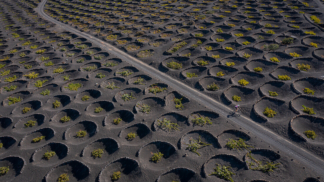 Weinkellerei, La Geria, Lanzarote, Kanarische Inseln, Spanien