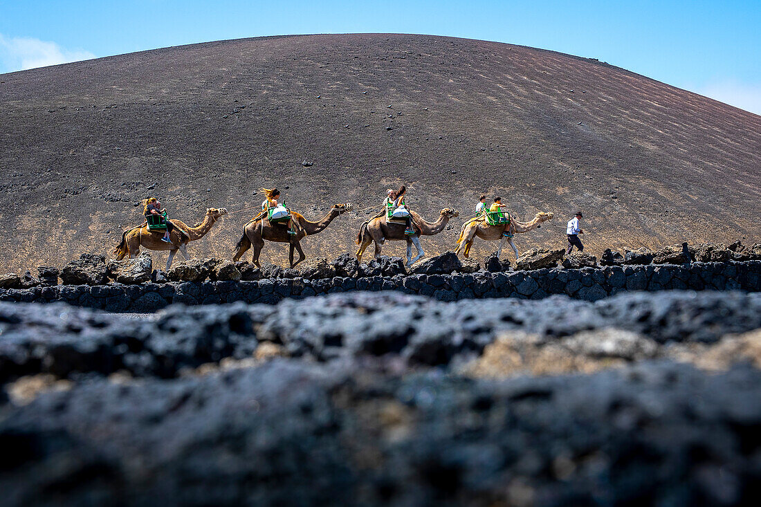 Tourists riding camels, in Timanfaya National Park, Lanzarote, Canary Islands, Spain