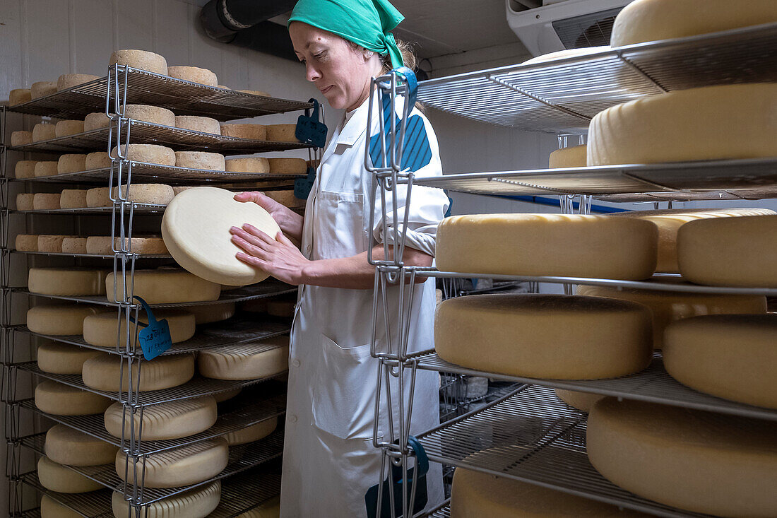 Elena bei der Arbeit, sie kontrolliert den Reifungsprozess. Käserei, Formatgeria Mas d'Eroles, handwerkliche Käseherstellung, Dorf Adrall, Alt Urgell, Lleida, Katalonien, Spanien