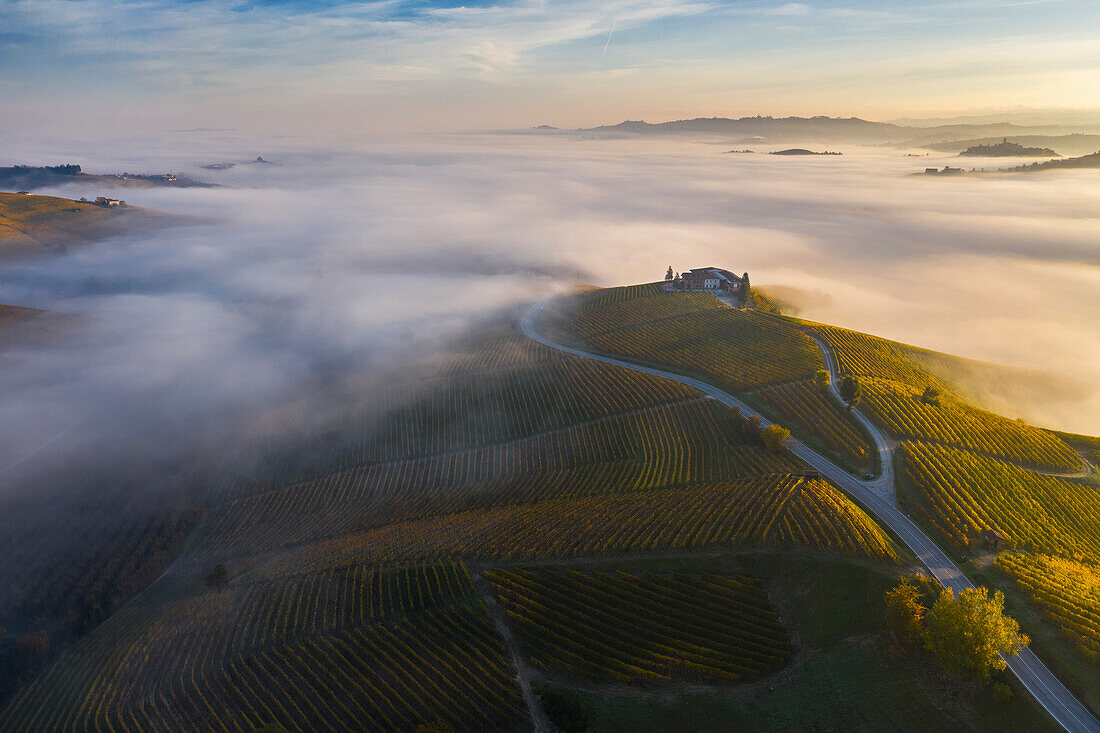 Luftaufnahme der Weinberge um Barolo im Herbst bei Sonnenaufgang, Cuneo, Langhe e Roero, Piemont, Italien, Südeuropa