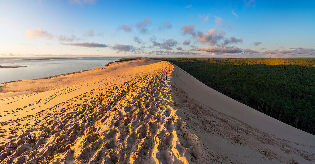 Panoramic view of a woman over Dune Du Pilat at sunset, Pyla sur Mer, Teste de Buch, Gironda, France, Western Europe