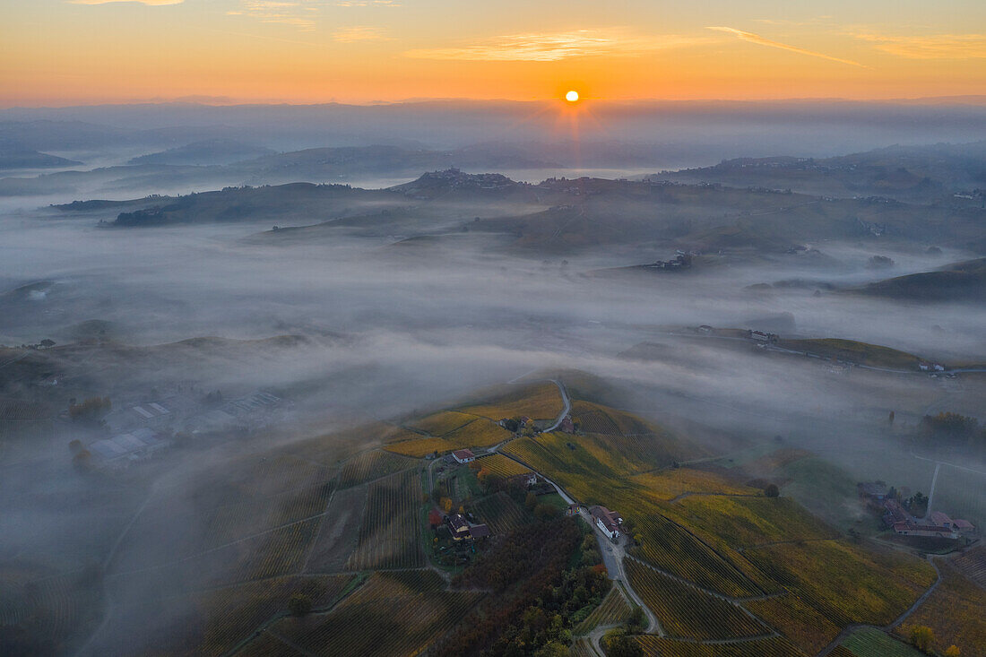 Aerial view of vineyards around Barolo during autumn at sunrise, Cuneo, Langhe e Roero, Piedmont, Italy, Southern Europe