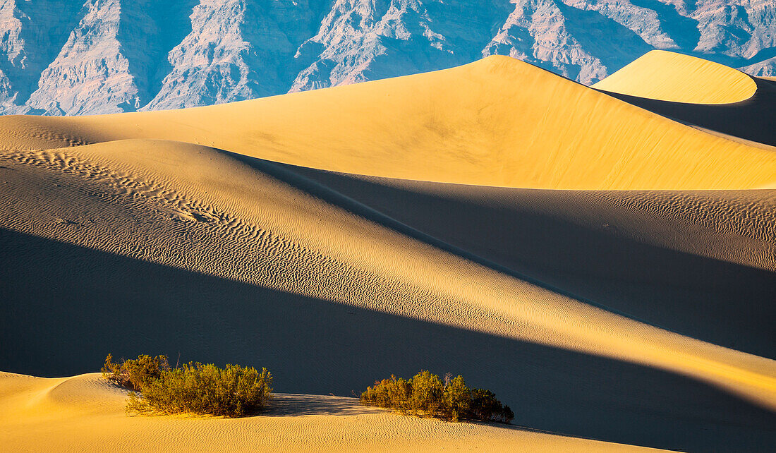 Mesquite Flat Sand Dunes at sunset, Death Valley National Park, California, North America, USA