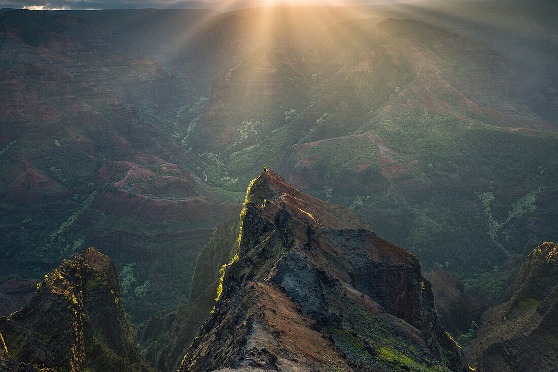 Ein Mann steht bei Sonnenaufgang vor dem Waimea Canyon, Kauai, Hawaii, Amerika, USA
