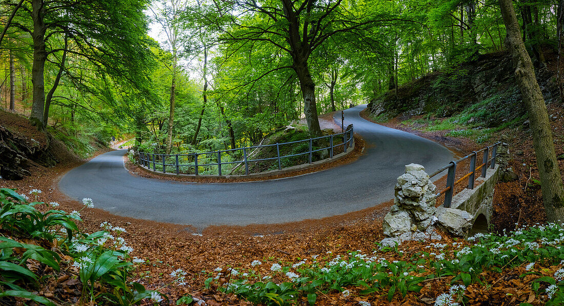 Blick auf die Straße im Wald, die zur Spitze des Berges Campo dei Fiori führt. Campo dei Fiori, Bezirk Varese, Lombardei, Italien.