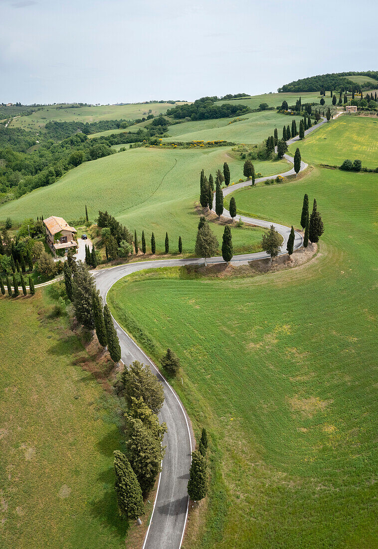 Aerial view of the iconic cypresses road of Monticchiello. Pienza, Orcia Valley, Siena district, Tuscany, Italy, Europe.