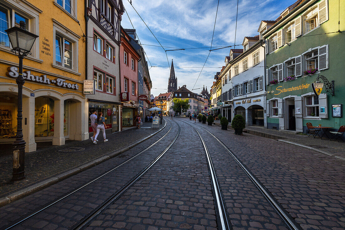 Freiburg im Breisgau with the view of its gothic cathedral, Baden Wurttemberg, Germany, Deutschland, Western europe