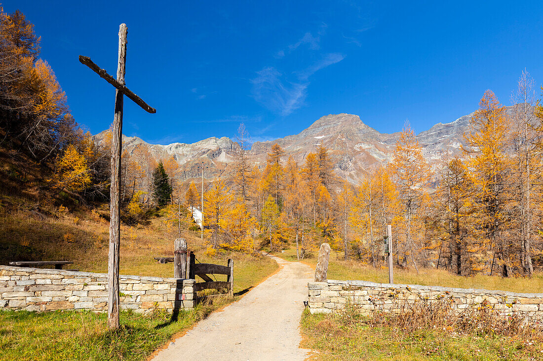 Herbstlicher Blick auf das Laub und die Farben am Eingang der Alpe Veglia. Val Cairasca-Tal, Divedro-Tal, Ossola-Tal, Varzo, Piemont, Italien.