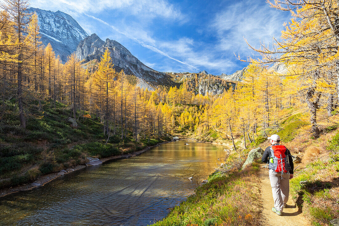 Autumnal view of an hiker admiring the colours and reflections at Lago delle Streghe. Alpe Veglia, Val Cairasca valley, Divedro valley, Ossola valley, Varzo, Piedmont, Italy.