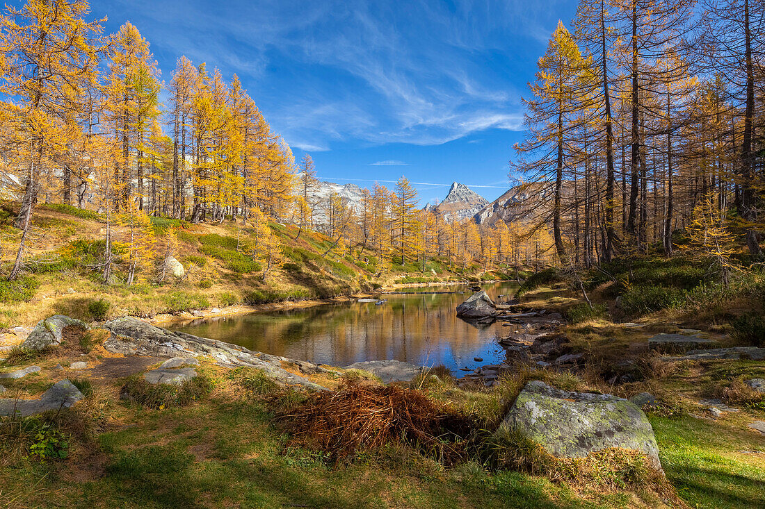 Autumnal view of the colours and reflections at Lago delle Streghe. Alpe Veglia, Val Cairasca valley, Divedro valley, Ossola valley, Varzo, Piedmont, Italy.