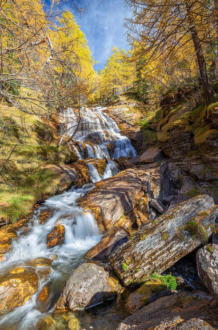 Herbstlicher Blick auf das Laub an der Cascata della Froa. Alpe Veglia, Val Cairasca Tal, Divedro Tal, Ossola Tal, Varzo, Piemont, Italien.