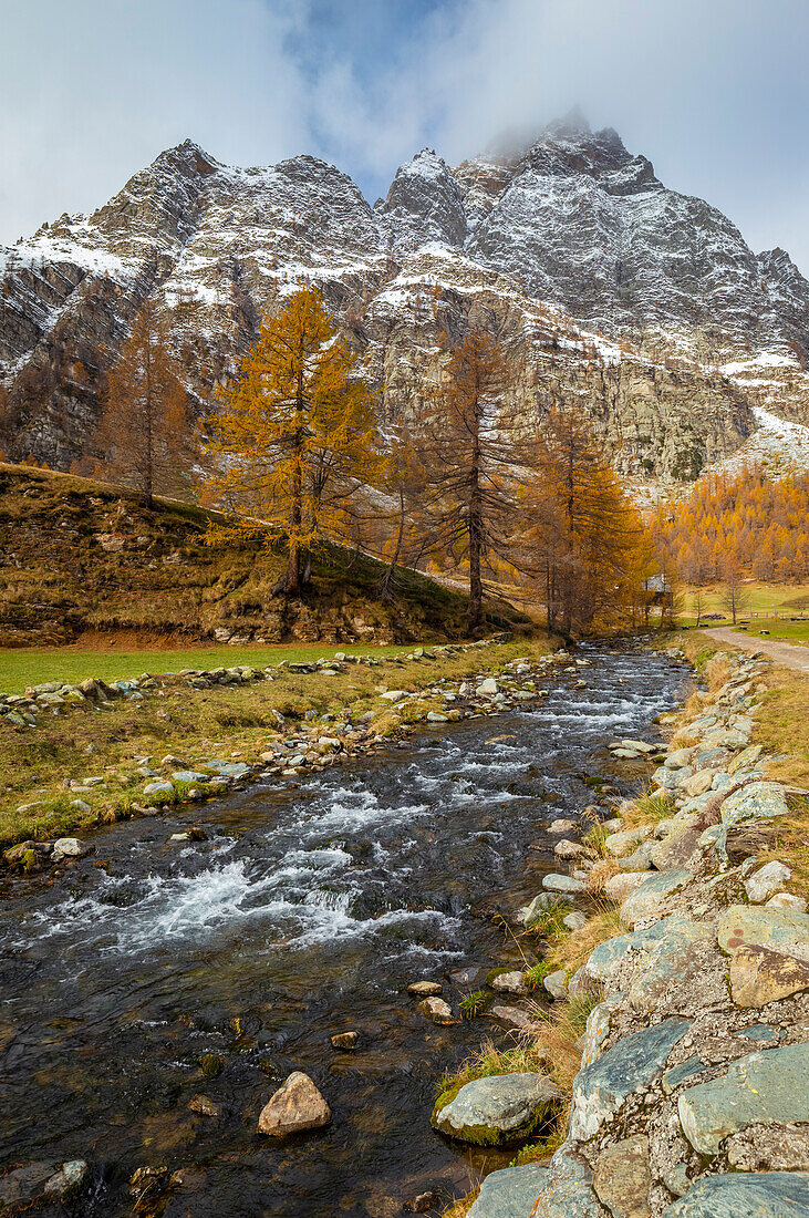 Herbstlicher Blick auf den Fluss Devero, der durch die Stadt Crampiolo fließt. Alpe Devero, Devero-Tal, Antigorio-Tal, Ossola-Tal, Piemont, Gemeinde Verbano Cusio Ossola, Italien.