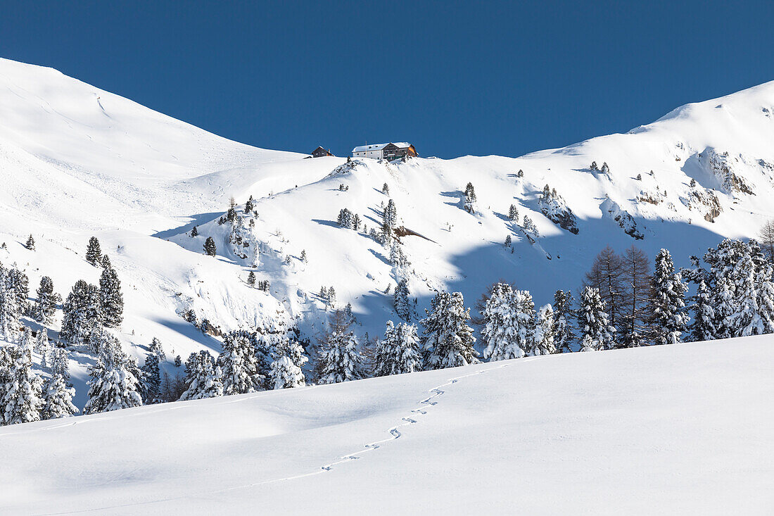 A winter view of the Schlütern Hütte (Rifugio Genova) in Villnöss, Bolzano province, South Tyrol, Trentino Alto Adige, Italy,