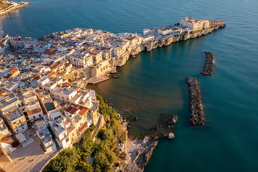Aerial view of Vieste old town peninsula during a summer sunrise. Foggia province, Gargano National Park, Apulia, Italy.