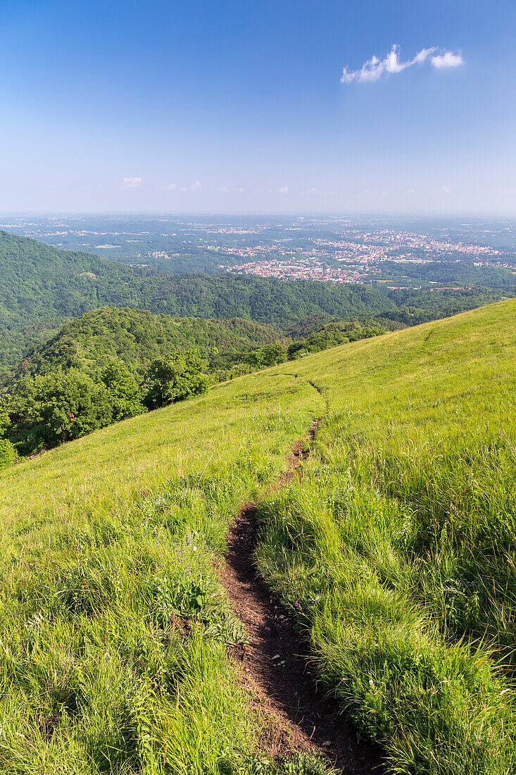 Blick auf den Pfad, der zum Monte Chiusarella führt, varesinische Voralpen, Parco Regionale del Campo dei Fiori, Bezirk Varese, Lombardei, Italien.
