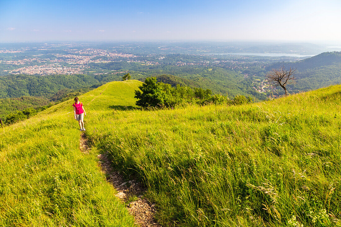 Blick auf den Pfad, der zum Monte Chiusarella führt, varesinische Voralpen, Parco Regionale del Campo dei Fiori, Bezirk Varese, Lombardei, Italien.