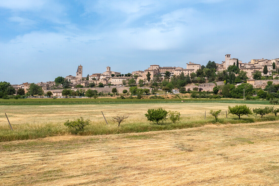 Aerial view of the town of Spello in spring. Spello, Perugia district, Umbria, Italy, Europe.