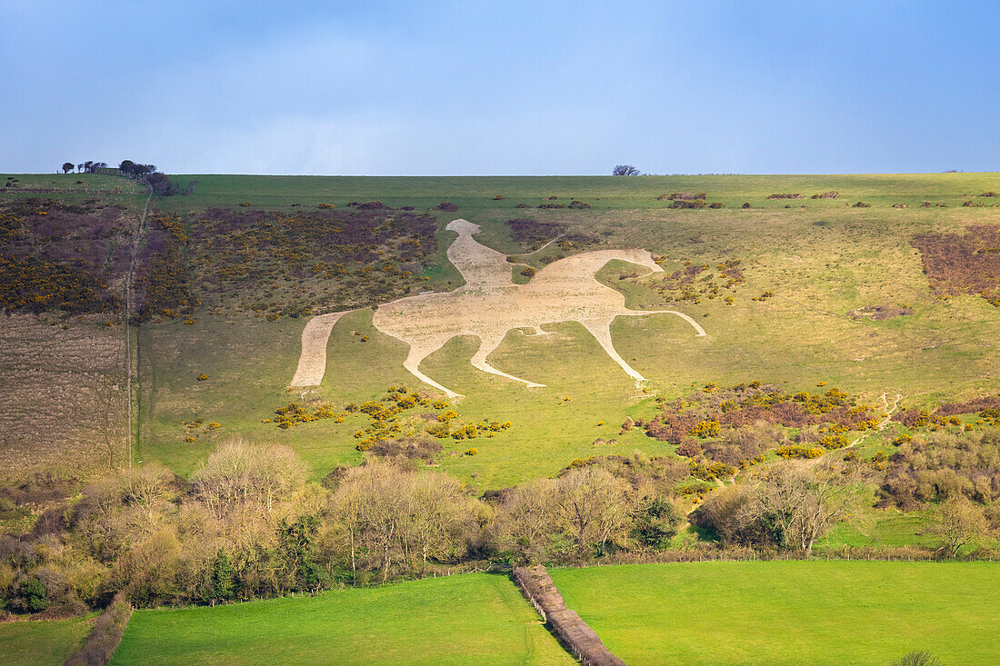 Blick auf die Kalksteinfigur Osmington White Horse auf einem Hügel in der Nähe von Weymouth. Dorset, England, Vereinigtes Königreich.