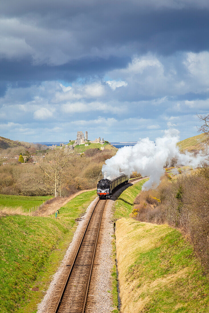 View of a steam train on the Swanage railway near Corfe Castle. Dorset, England, United Kingdom.