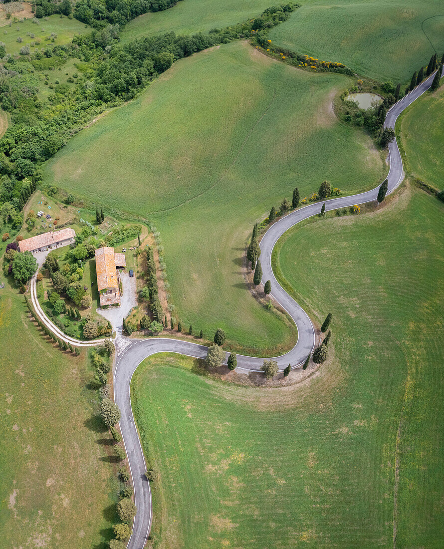 Luftaufnahme der kultigen Zypressenstraße von Monticchiello. Pienza, Orcia-Tal, Bezirk Siena, Toskana, Italien, Europa.
