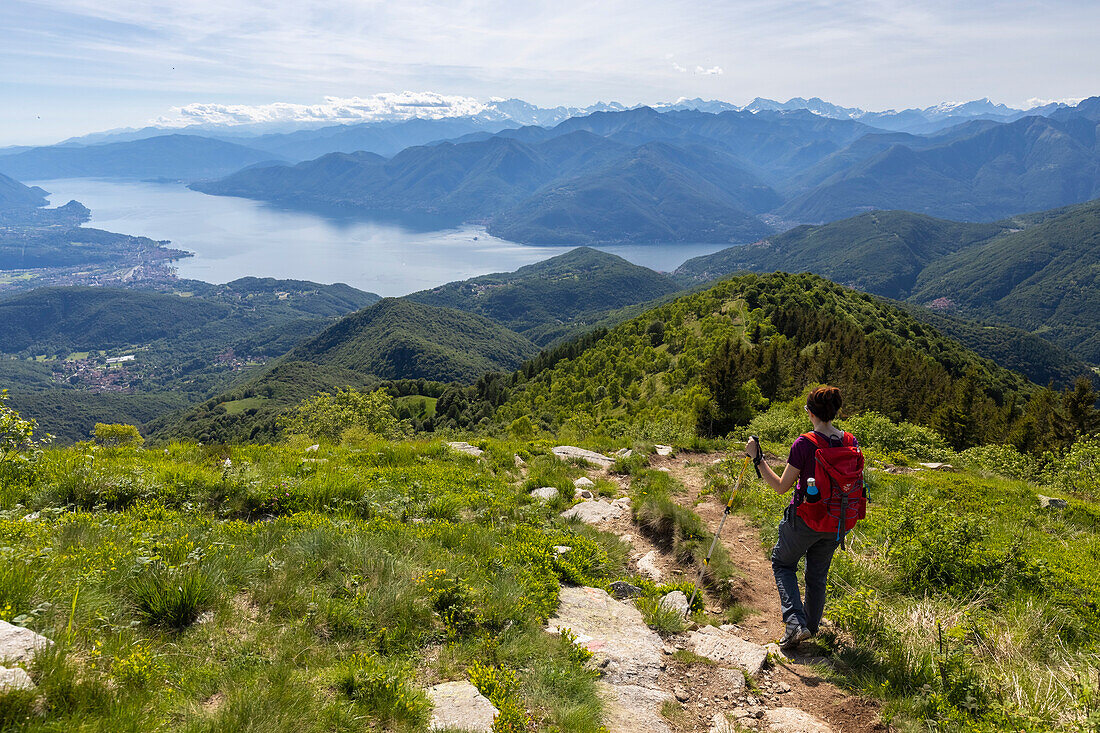 View of Lake Maggiore and piedmont mountains from the top of Monte Lema. Dumenza, Varese district, Lombardy, Italy.