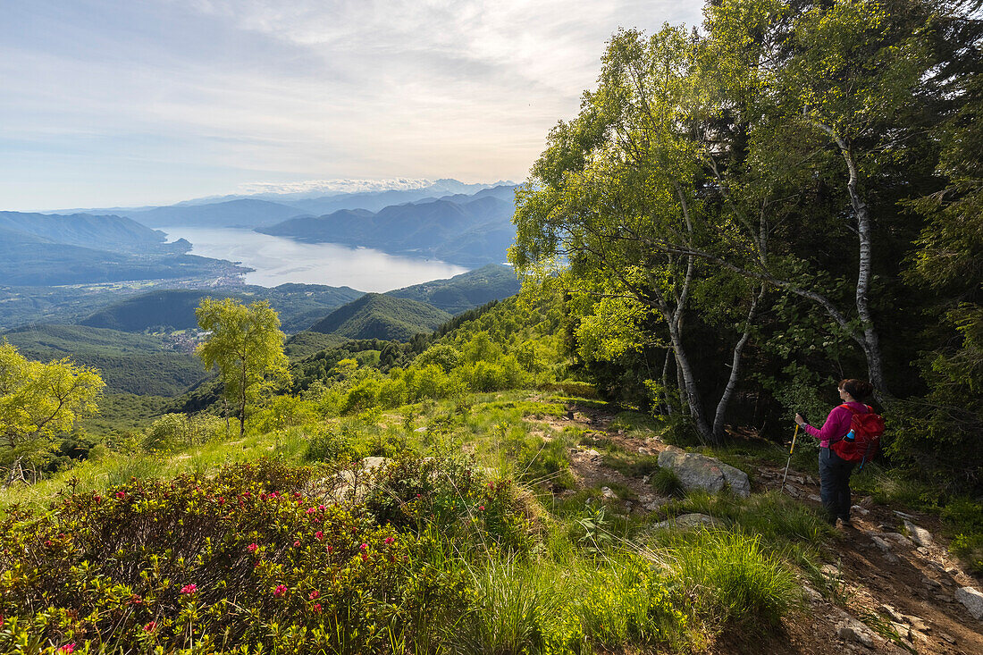 Blick auf den Lago Maggiore und die piemontesischen Berge vom Gipfel des Monte Lema. Dumenza, Bezirk Varese, Lombardei, Italien.