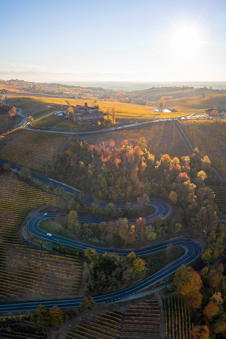 Luftaufnahme der kurvenreichen Straße, die zum Castello di La Volta führt. Barolo, Weinanbaugebiet Barolo, Langhe, Piemont, Italien, Europa.