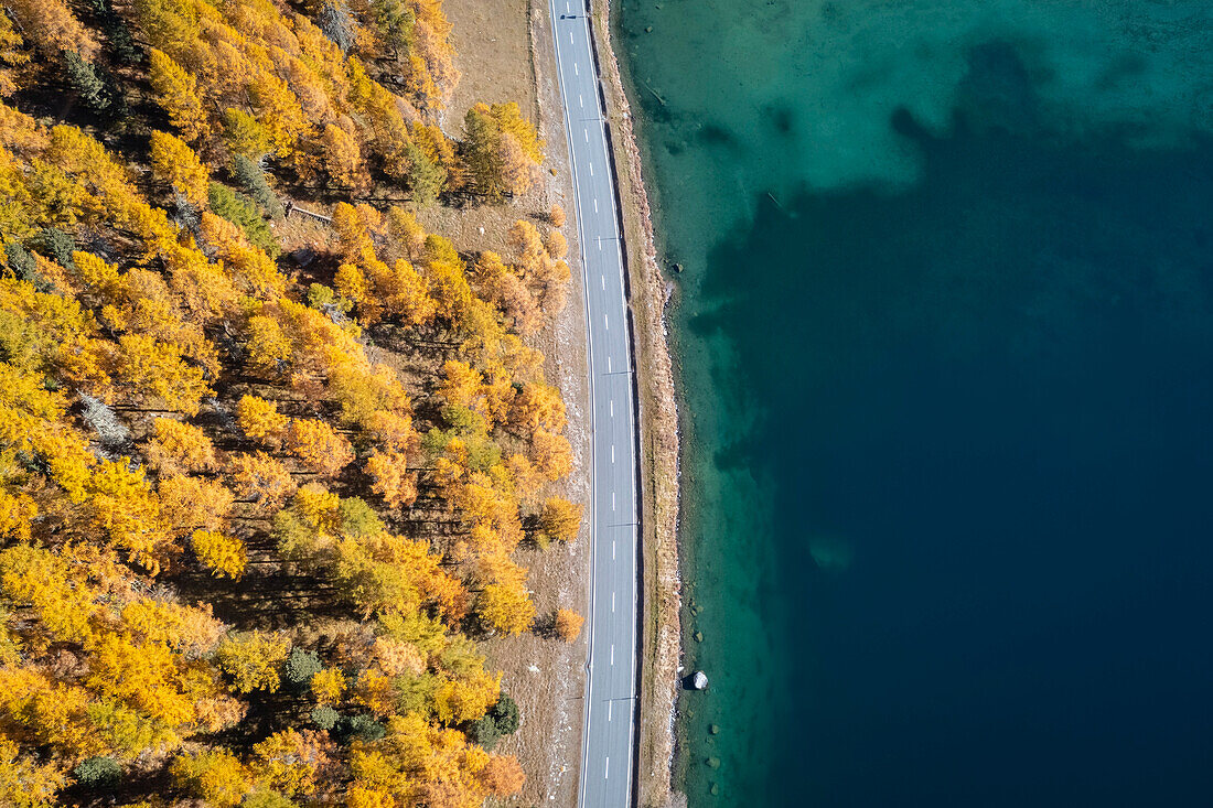 Luftaufnahme des Silsersees und seiner Uferstraße im Herbst. Sils im Engadin/Segl, Engadin, Schweiz, Kanton Graubünden.