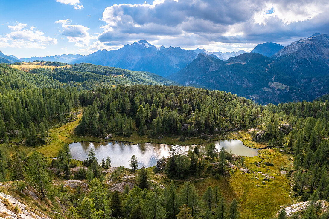 Aerial view of Mufule Lake and Mount Disgrazia surrounded by larches in the summer. Valmalenco, Valtellina, Sondrio, Lombardy, Italy, Europe.